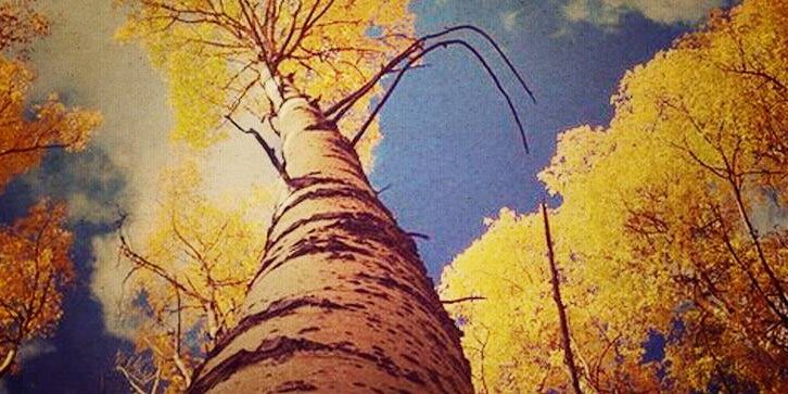 Fall-Winter-Events-2015-wide