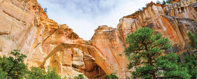 New Mexico Road Trip Scenery