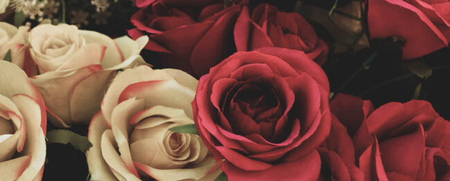 Unconventional Valentine's Day ideas