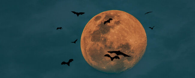 New Mexico Folk Legends - Spooky Moon and Bats